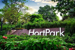 Blk 93A Telok Blangah Parcview (Bukit Merah), HDB 4 Rooms #551696711